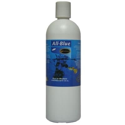 All-blue 500ml