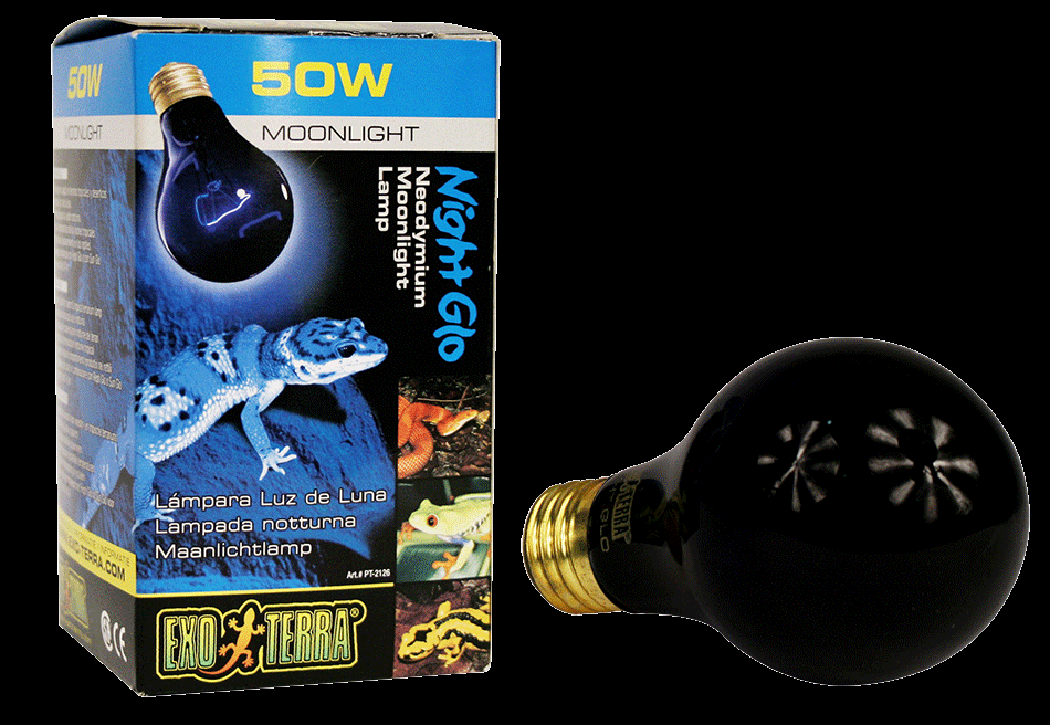 Foco Exo Terra Nigth Glo 50 W