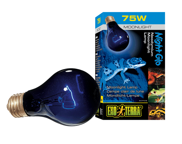 Foco Exo Terra Nigth Glo 75 W