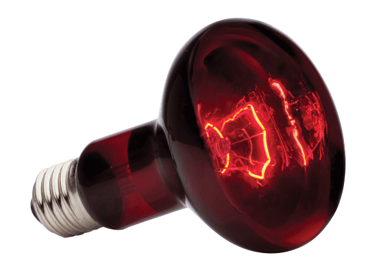 Foco Exo Terra Heat Glo 100 W
