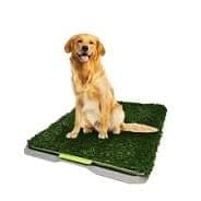 Repuesto Doggie Grass Gde.
