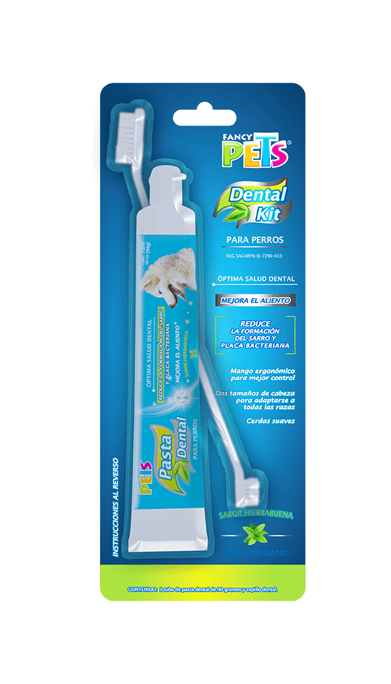 Kit Dental Pasta y Cepillo