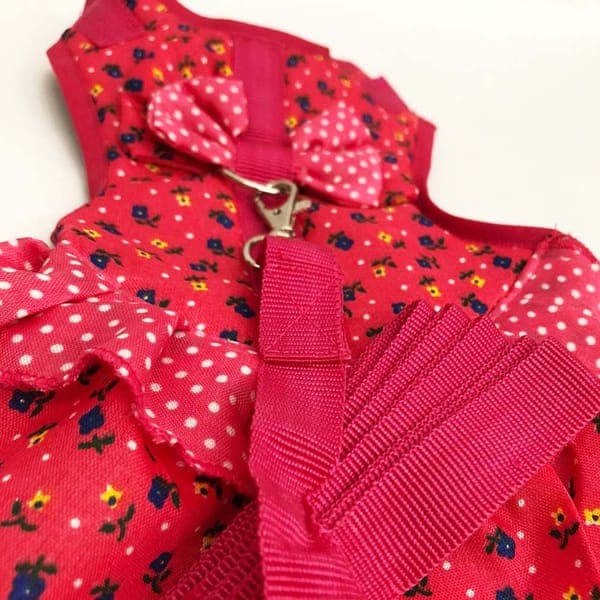 Vestido con Arnes y Correa Chico