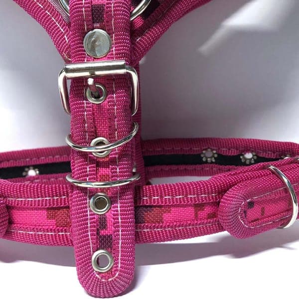 Pechera Lona Reforzada con Argolla No, 2 (miloft Pets)