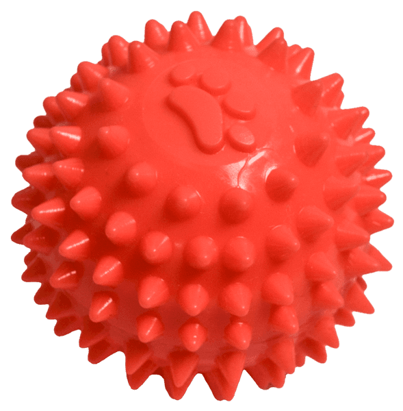 Juguete de Caucho Pelota Spiny