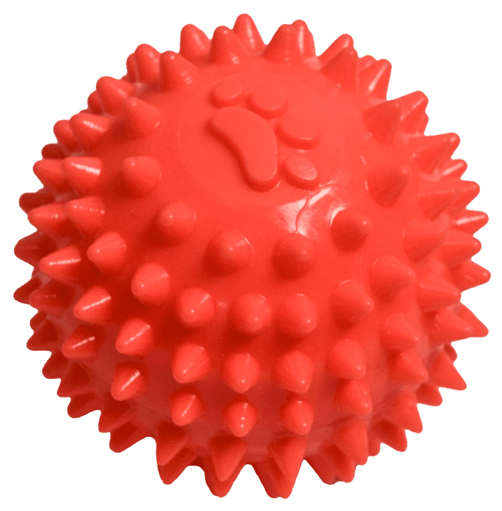 Juguete de Caucho Pelota Spiny