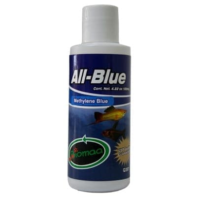 All-blue 125ml
