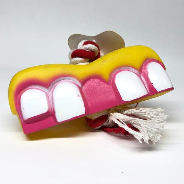 Juguete de Dientes Parapet Petshow