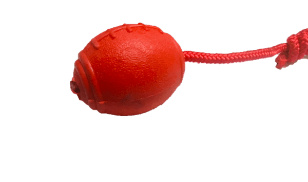 Juguete Pelota Futbol Americano Dura con Cuerda