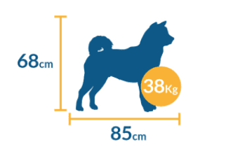 Transportadora Kennel Grande Medidas: 90 X 60 X 68cm