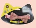Collar para Gato con Moño Parapet