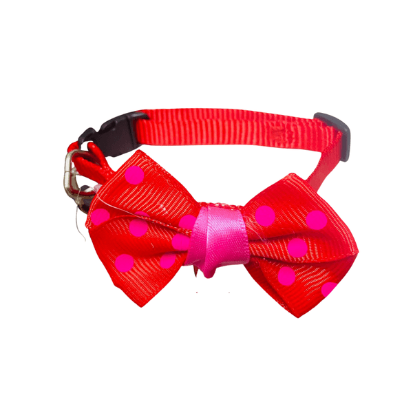 Collar con Moño Blister 1 Pieza