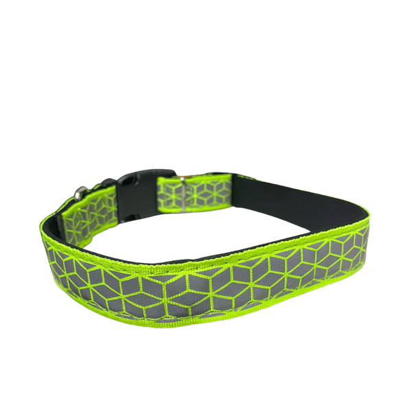 Collar Grande con Reflejante Blister 1 Pieza