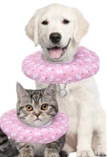 Collar Isabelino Gato/rp L
