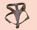 Pechera Piel (miloft ) #4
