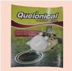 Quelonical 1pz