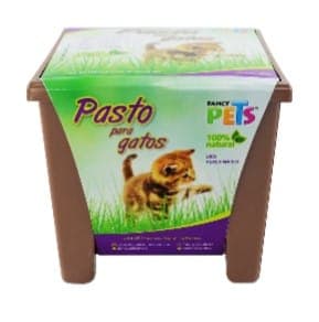 Pasto para Gatos