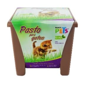 Pasto para Gatos