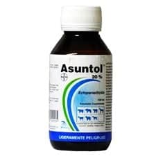 Asuntol 100 Mili
