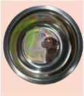 Plato de Acero Inoxidable C/base Antiderrapante 16 z (454grs)