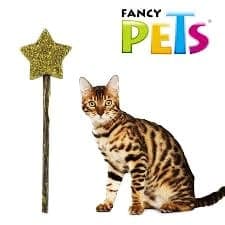 Paleta de Catnip para Gato