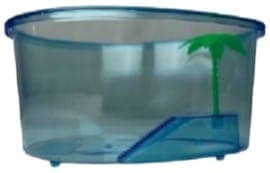 Tortuguero con Palma 20x15x9cm