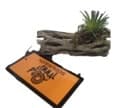 Rama Natural de Ornamentacion Mini