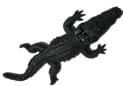 Cocodrilo Aireador