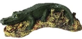 Cocodrilo Pantano Aireador
