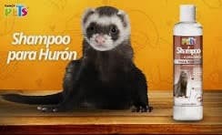Shampoo Essentials P/ Huron 250ml