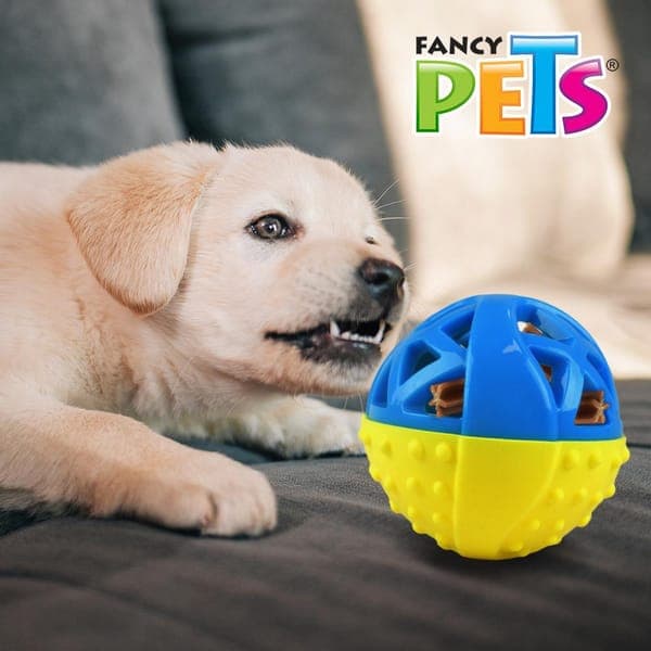 Juguete Pelota Treats