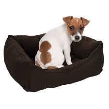 Cama Spaniel