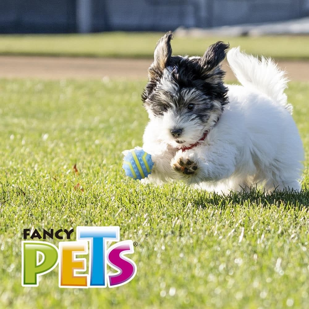 Pelota Spiky Ch Fetch