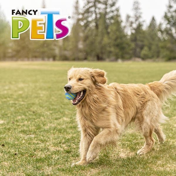 Pelota Spiky Gde Fetch