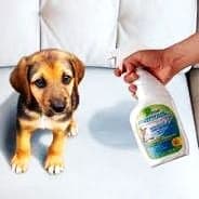 Deep Clean Enzimagic Limpiador de Accion Enzimatica 1Lt