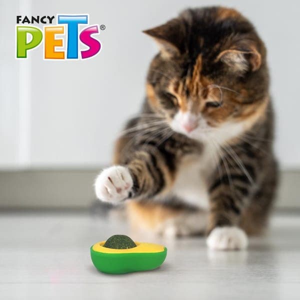 Juguete Aguacate C/bola de Catnip Gato Play