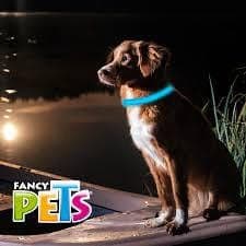 Collar Led Bandas Reflejantes Ch