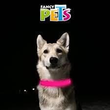 Collar Led Bandas Reflejantes Gde