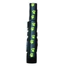 Collar Led Huellas Ch