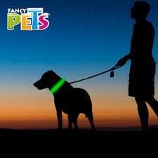 Collar Led Reflejante Med