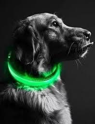 Collar Led Gde Reflejante