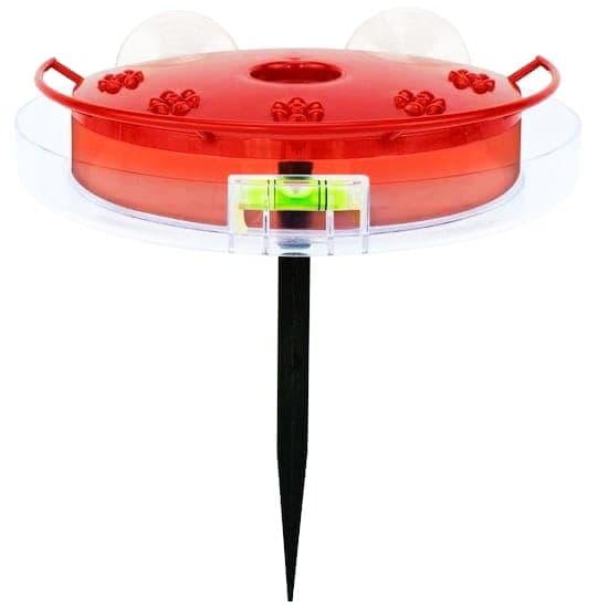 Bebdero 3 En 1 P/colibri 380ml