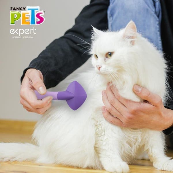 Carda P/gato Expert