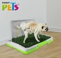 Doggie Grass Mini P/macho