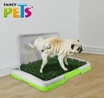 Doggie Grass Mini P/macho
