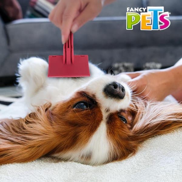 Carda Ch Roja P/mascotas