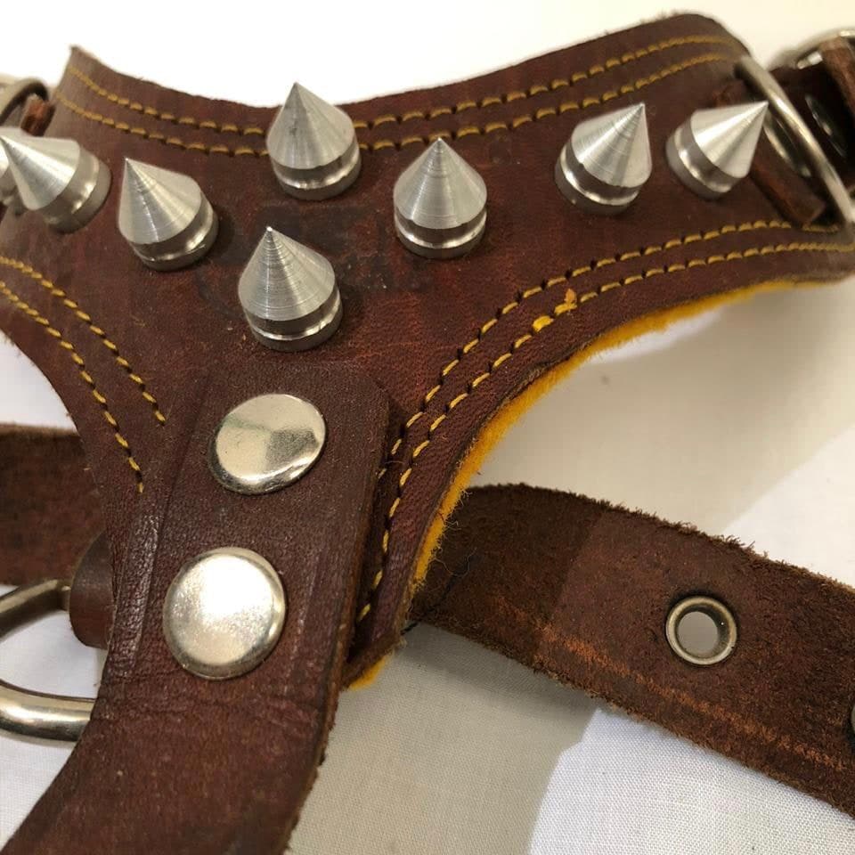 Pechera de Piel Lubricada con Picos Numero 7