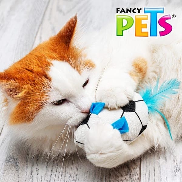 Juguete Raton Sport Soccer Sound C/catnip
