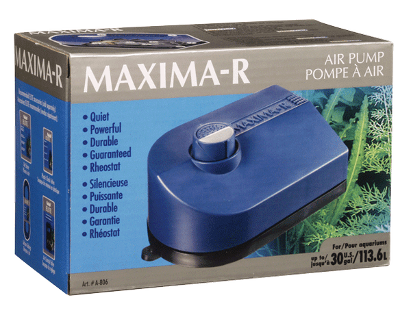 Bomba Maxima de Lujo P 30 Gal. con Regulador