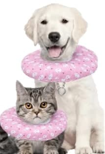 Collar Isabelino Gato/rp L